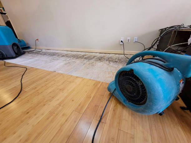 Professional Basement Flood Cleanup technician working in Clinton, NY